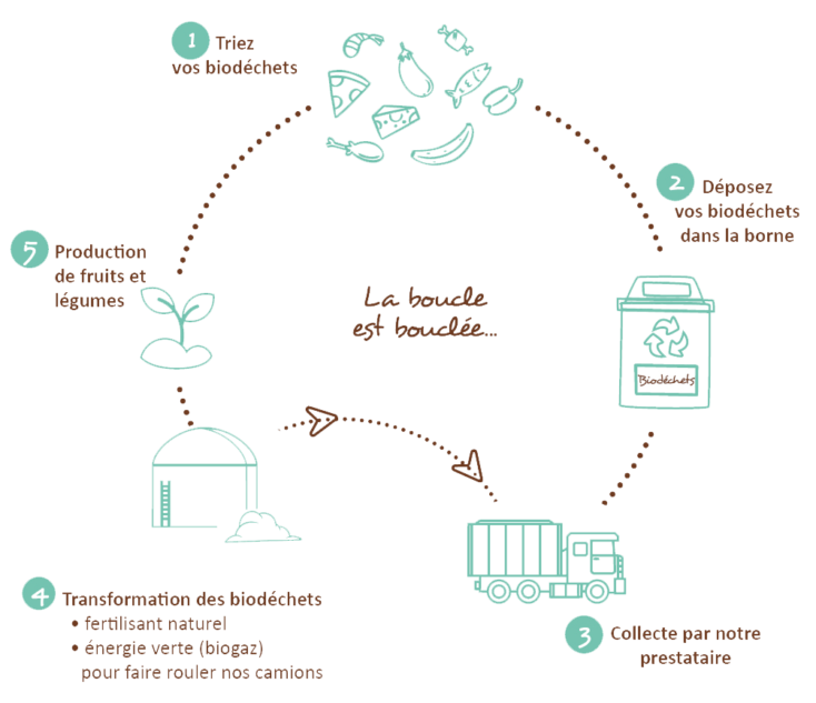 cycle-biodéchets-web