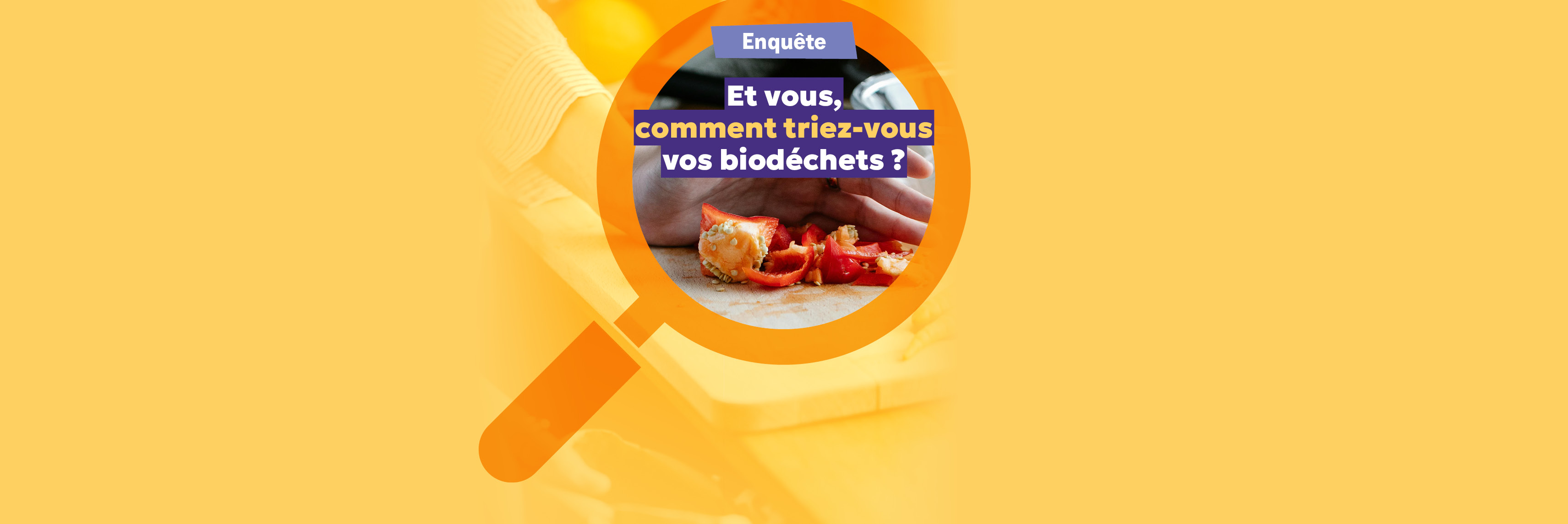 Enquête biodéchets